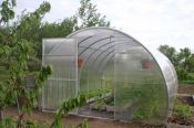Zahradní skleník Dodo 314